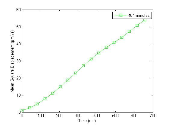 Ballistic and then diffusive behavior of cells that swim