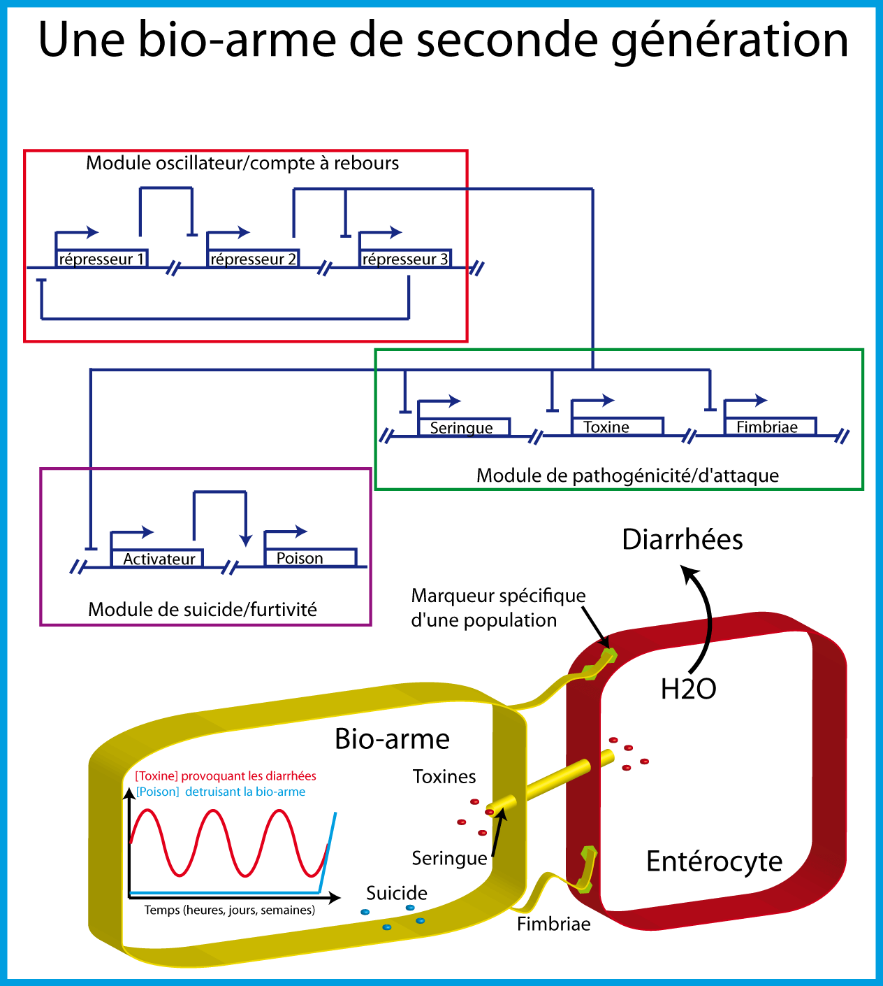 Une arme biologique de seconde génération.