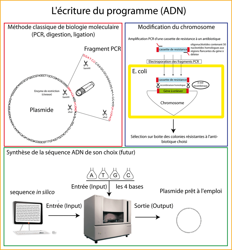 Techniques pour écrire le programme