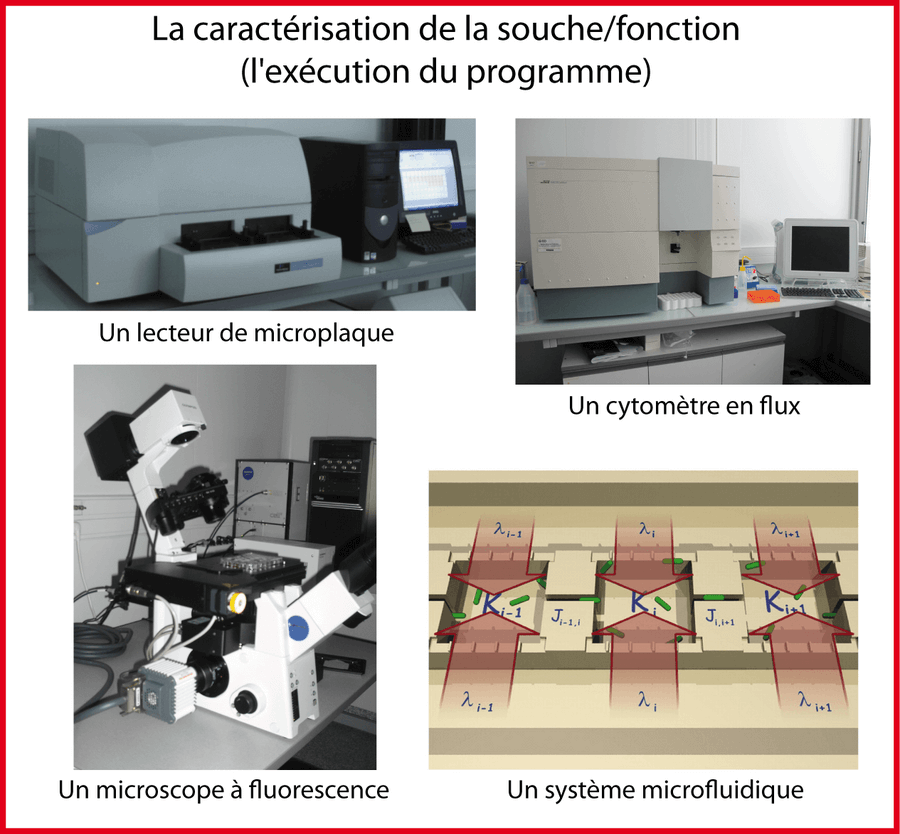 Photo de quelques outils permettant la caractérisation d'un programme ADN