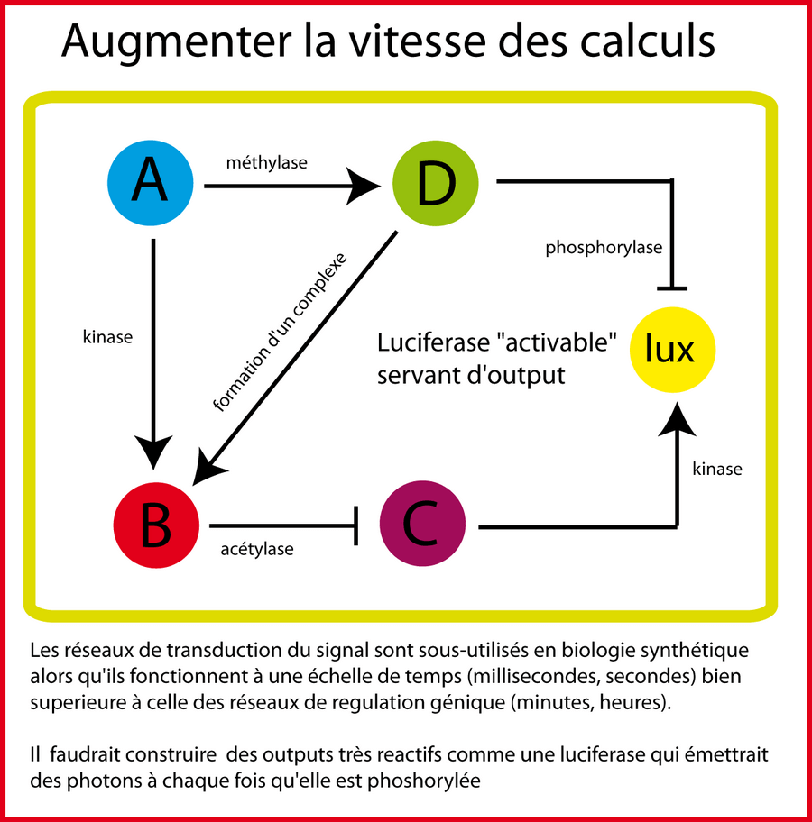 Construire des réseaux basés sur la transduction du signal