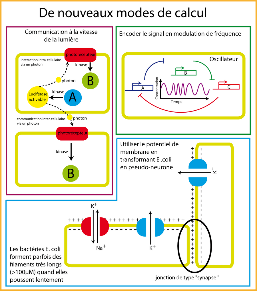 Illustration de l'utilisation de nouveaux modes de calcul.