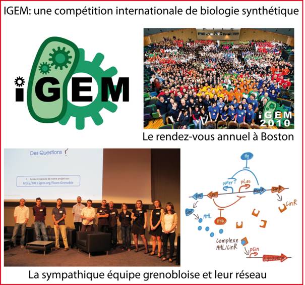 Présentation de la compétition IGEM.