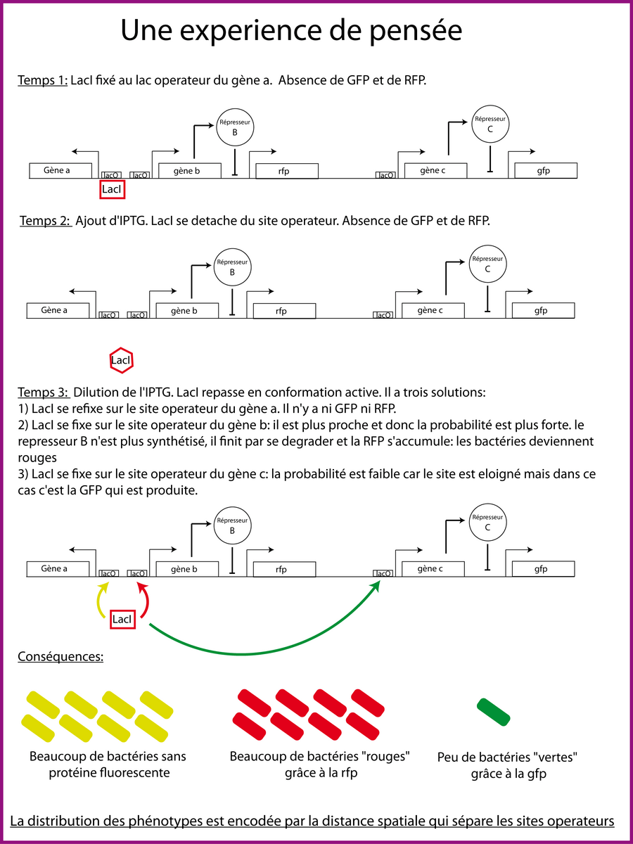 Expérience de pensée