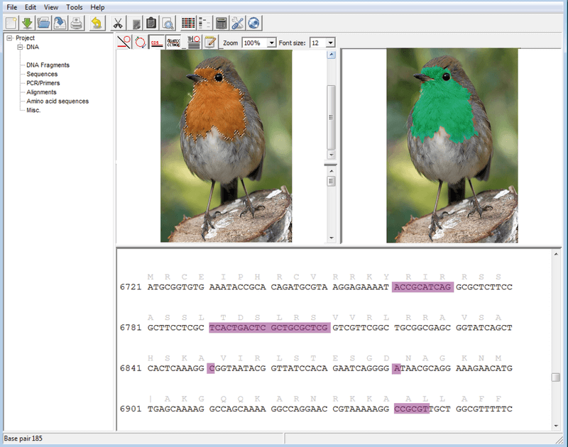Le vert-gorge est un artefact de l'homme