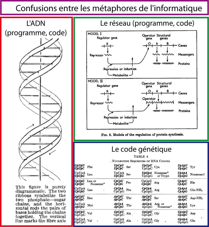 Confusions entre les métaphores de l'informatique