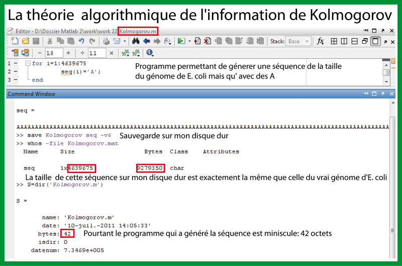 La théorie algorithmique de l'information de Kolmogorov