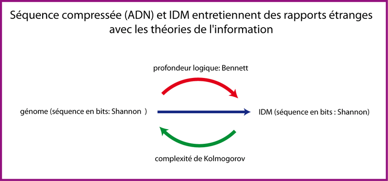 Les rapports étranges qu'entretiennent les trois théories de l'information.
