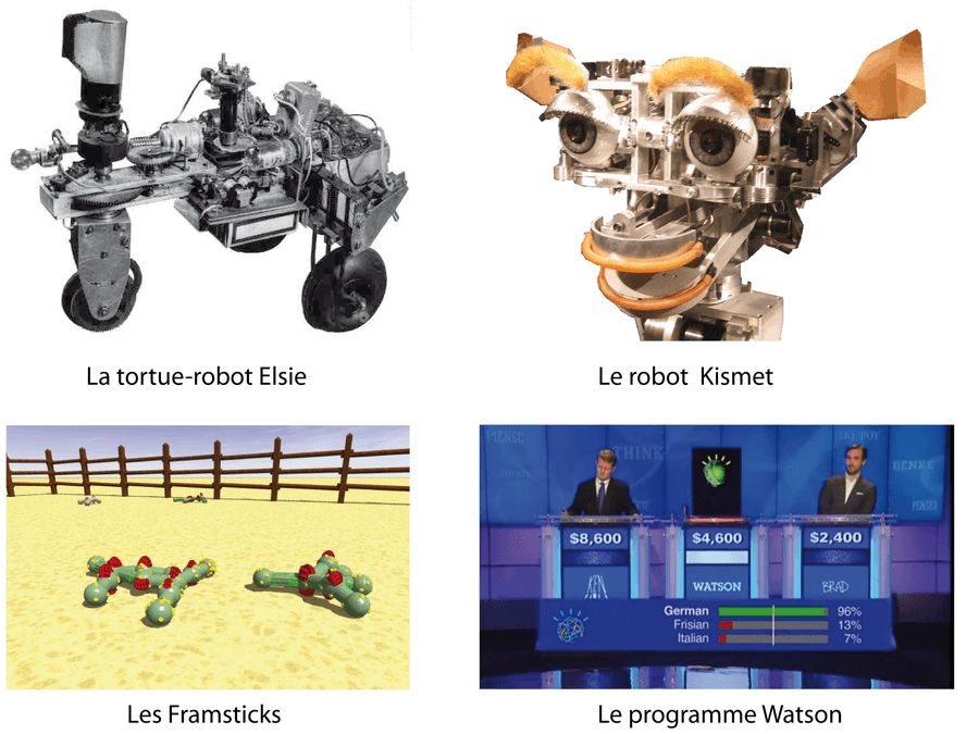 Quelques exemples de vie artificielle