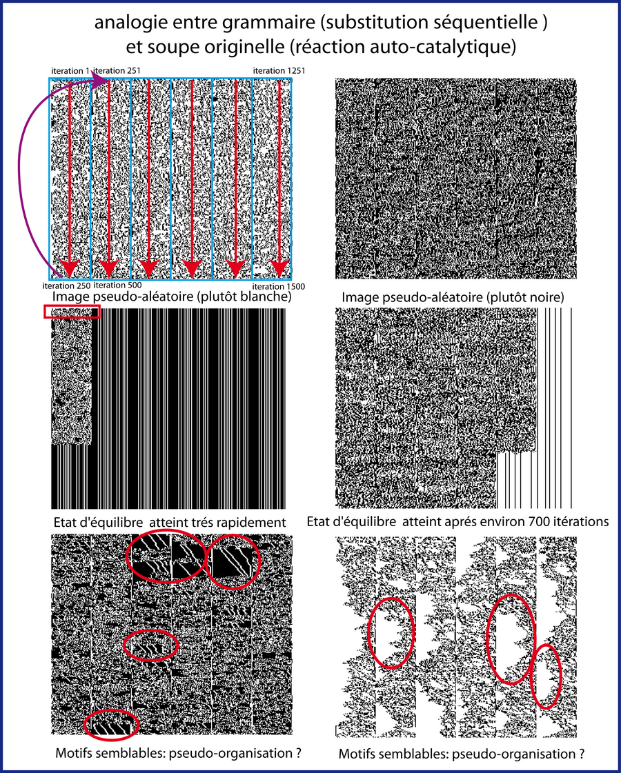 Résultats de 6 simulations (6 carrés) de la soupe de séquence