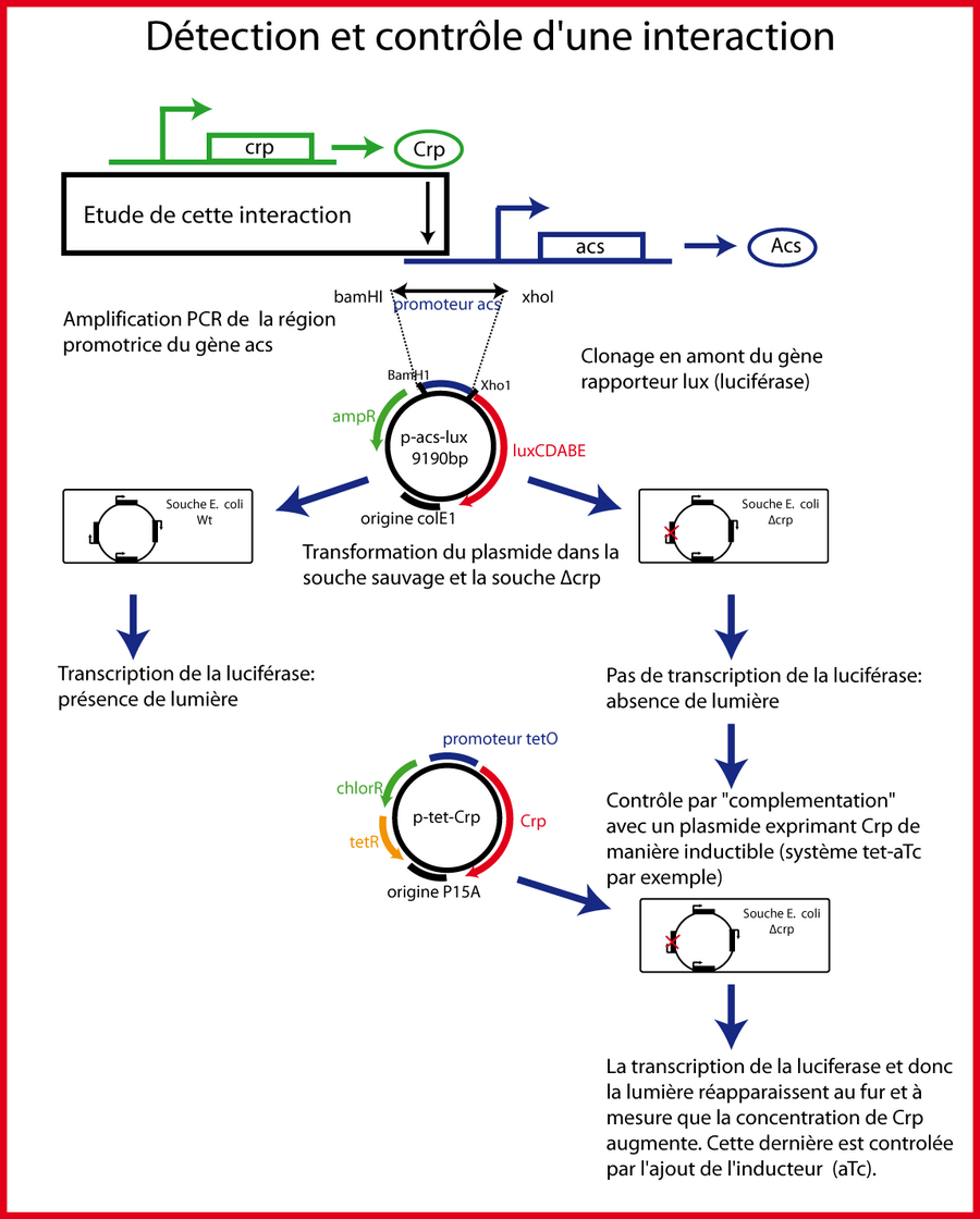 Contrôle d'une interaction