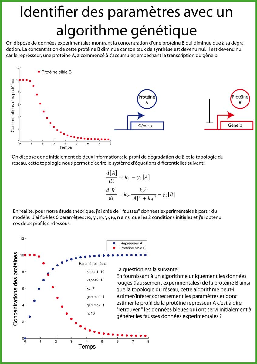 Identification de paramètres