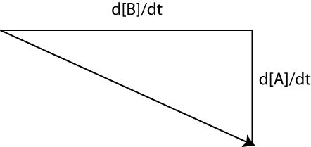 Schéma d'un vecteur de champs