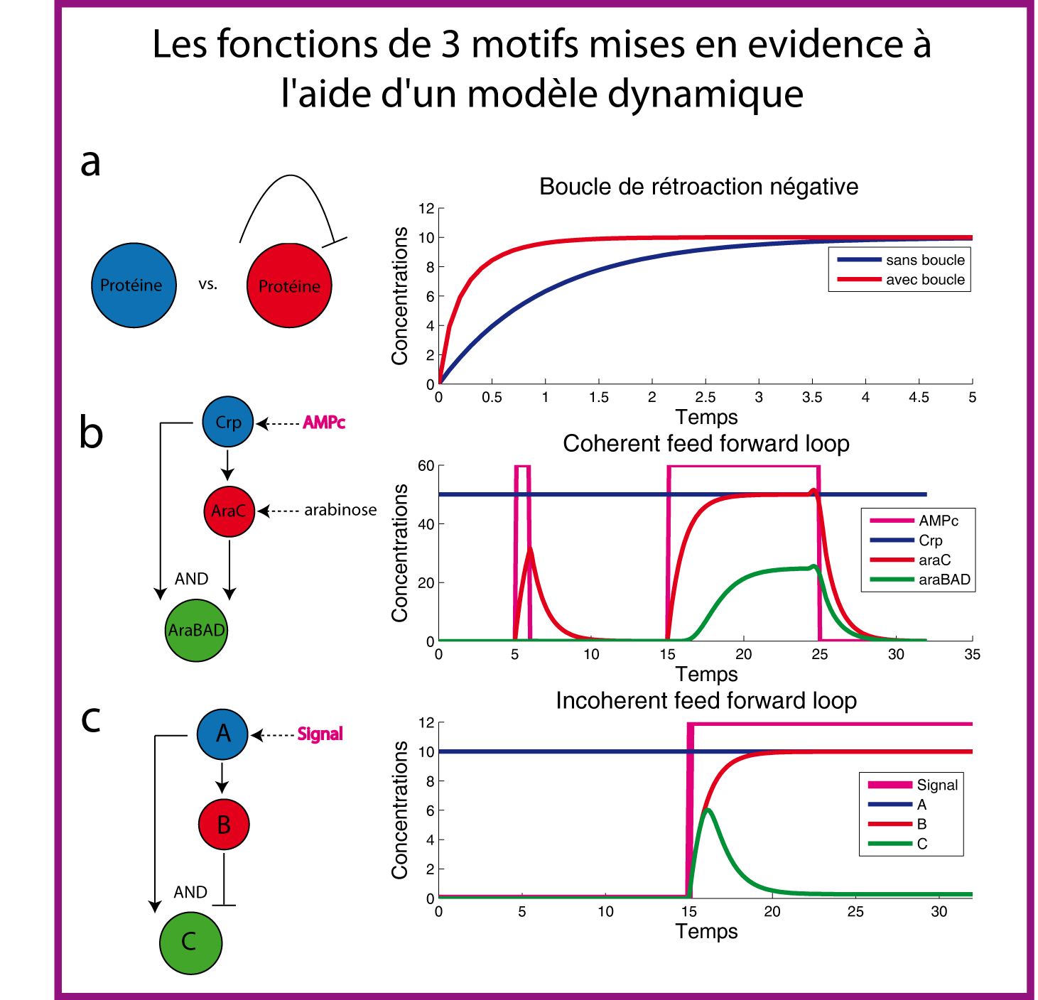 Fonctions de quelques motifs