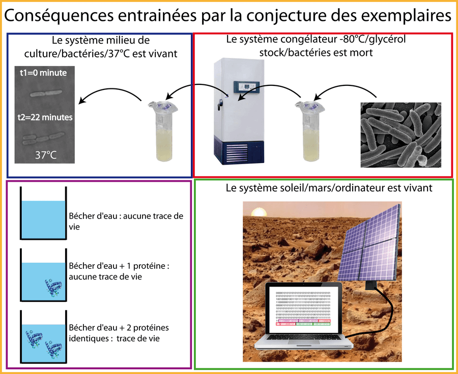Quelques conséquences étranges induites par la conjecture des exemplaires.